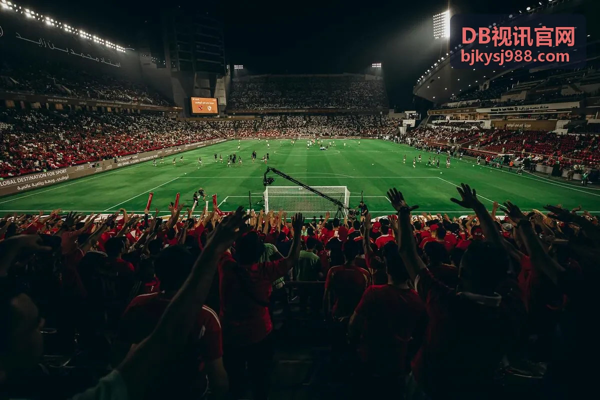 DB视讯合作客户示意